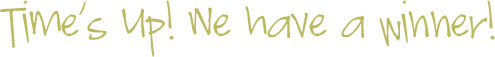 blog giveaway winner blog giveaway winner