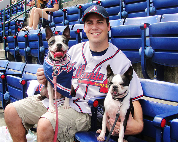 kevinandamanda auburn football Atlanta Braves Bark in the Park Dog Day Boston Terriers Meetup
