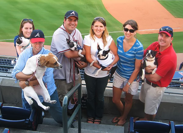 kevinandamanda auburn football Atlanta Braves Bark in the Park Dog Day Boston Terriers Meetup