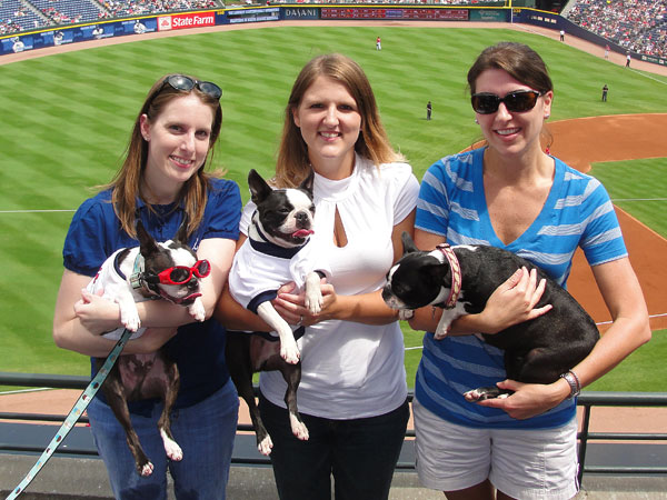 kevinandamanda auburn football Atlanta Braves Bark in the Park Dog Day Boston Terriers Meetup