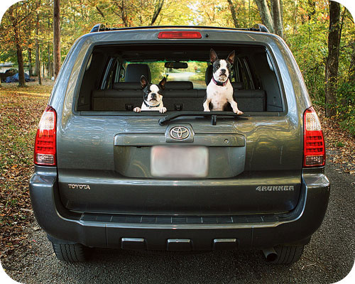 2007-4runner-limited 2007-4runner-limited