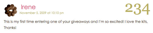 blog giveaway winner blog giveaway winner