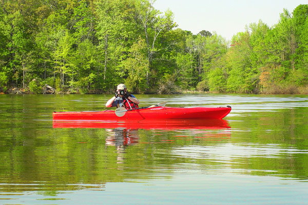 Kayaking on Flint Creek @ Wheeler National Wildlife Refuge & on the Flint River, Huntsville Alabama
