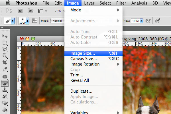 Example Image being Resized Picture of Example Image being Resized