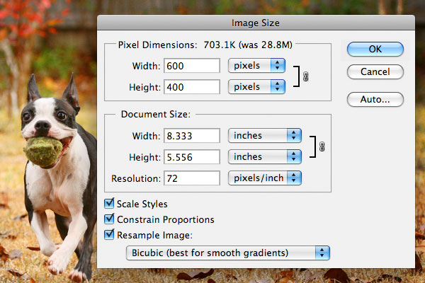 Changing the Size of a Photo in Photoshop Image of Changing the Size of a Photo in Photoshop