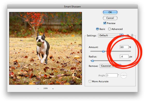 Saving and Sizing Your Images for Blogging