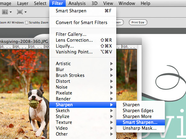 How to Sharpen Your Photo Image of How to Sharpen Your Photo