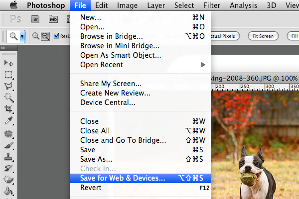 Photoshop Blogging Tutorial Image of Saving a Photo From Photoshop