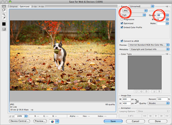 Photoshop Blogging Tutorial Image of Image Quality on Photoshop