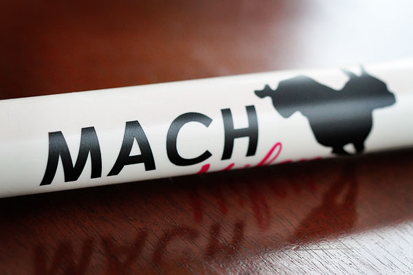 Agility MACH Bar Close-up Image of Miley's MACH Bar