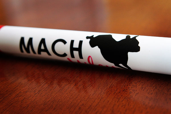 Agility MACH Bar Image of a Boston Terrier Agility MACH Bar