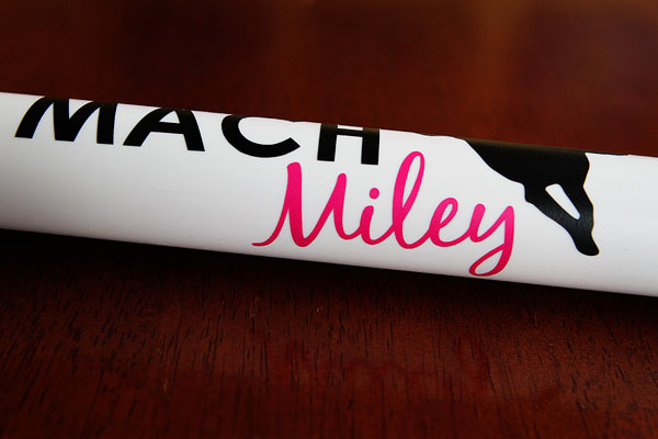 Agility MACH Bar Image of Miley's Master Agility Champion Bar