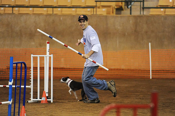 AKC Master Agility Champion Miley the Boston Terrier AKC Master Agility Champion Miley the Boston Terrier