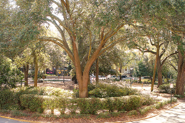 Foley House Inn Bed & Breakfast, Savannah, Georgia Foley House Inn Bed & Breakfast, Savannah, Georgia