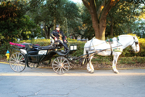 Savannah, Georgia Savannah, Georgia