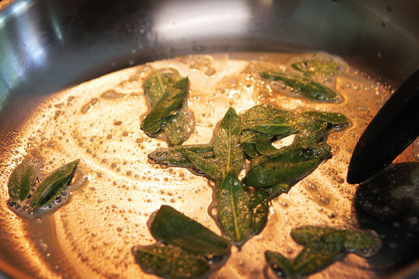 brown-butter-ravioli-with-rotisserie-chicken-toasted-walnuts-and-crispy-sage-16 brown-butter-ravioli-with-rotisserie-chicken-toasted-walnuts-and-crispy-sage-16