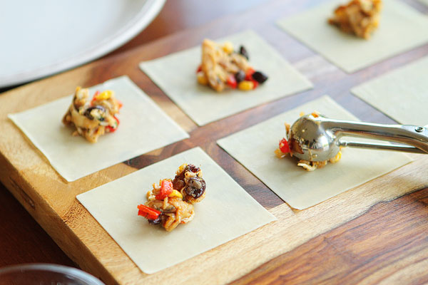 crispy-southwestern-wontons-14 crispy-southwestern-wontons-14