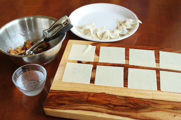 crispy-southwestern-wontons-16 crispy-southwestern-wontons-16