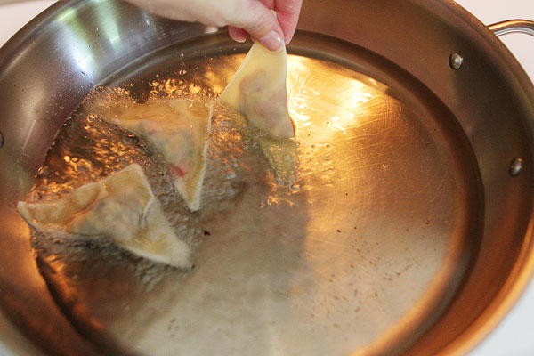 crispy-southwestern-wontons-17 crispy-southwestern-wontons-17