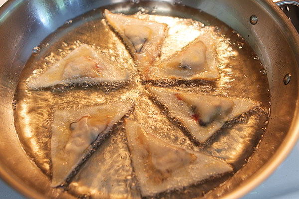 crispy-southwestern-wontons-18 crispy-southwestern-wontons-18