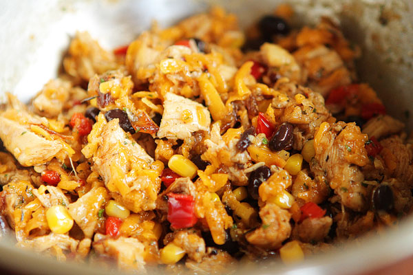 crispy-southwestern-wontons-25 crispy-southwestern-wontons-25