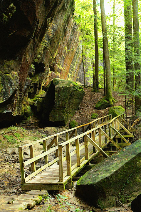dismals canyon-04 Dismals Canyon in Alabama ~ Glow Worm Caves