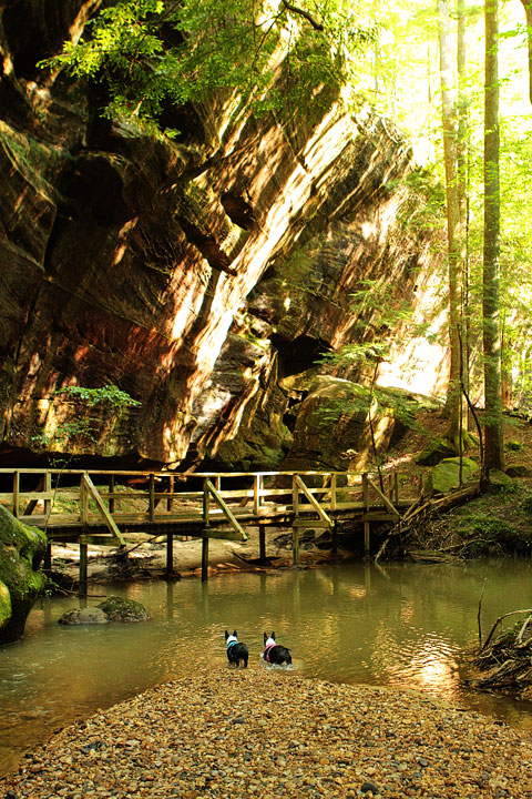 dismals canyon-09 Dismals Canyon in Alabama ~ Glow Worm Caves