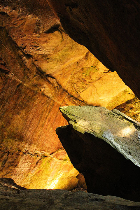 dismals canyon-11 Dismals Canyon in Alabama ~ Glow Worm Caves