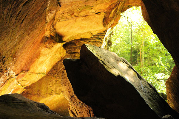 dismals canyon-12 Dismals Canyon in Alabama ~ Glow Worm Caves