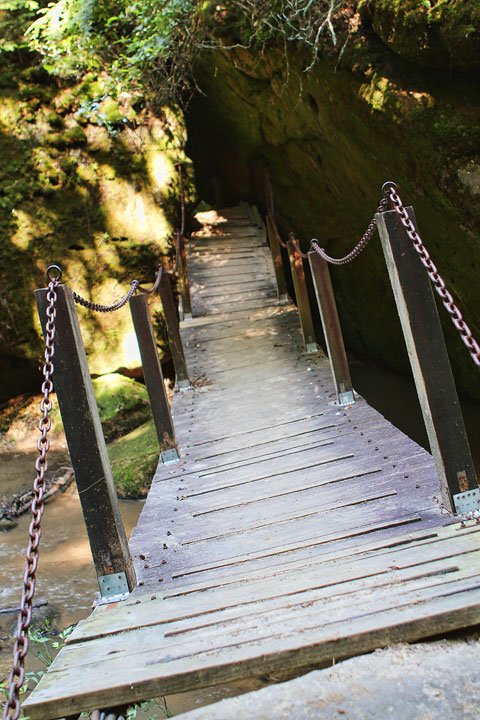 dismals canyon-14 Dismals Canyon in Alabama ~ Glow Worm Caves