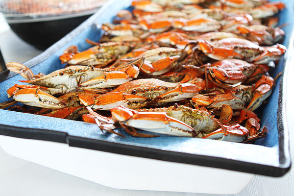 12-crab-and-crawfish-jenny-flake-397 12-crab-and-crawfish-jenny-flake-397