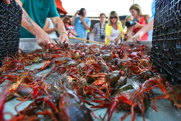 KERRY MALONEY / LOUISIANA SEAFOOD NEWS KERRY MALONEY / LOUISIANA SEAFOOD NEWS