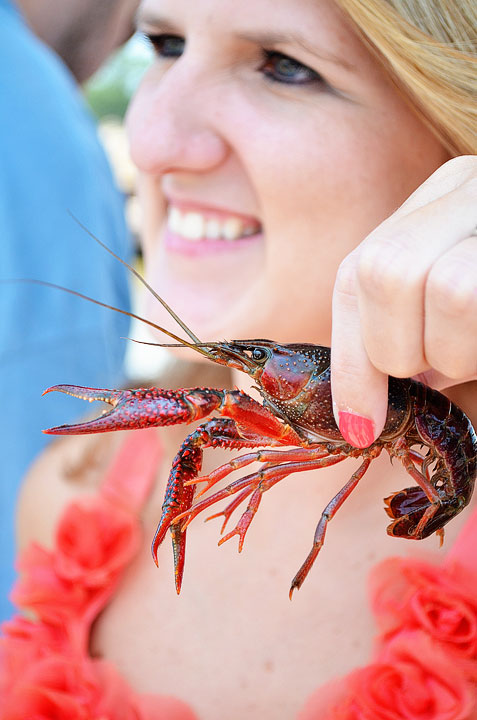 19-crab-and-crawfish-maggy-544 19-crab-and-crawfish-maggy-544