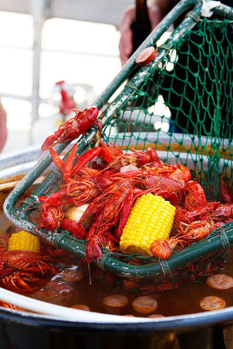 21-crab-and-crawfish-marla-meridith-282 21-crab-and-crawfish-marla-meridith-282