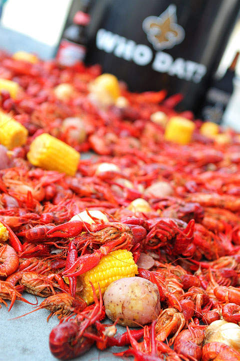 23-crab-and-crawfish-Amanda-987 23-crab-and-crawfish-Amanda-987