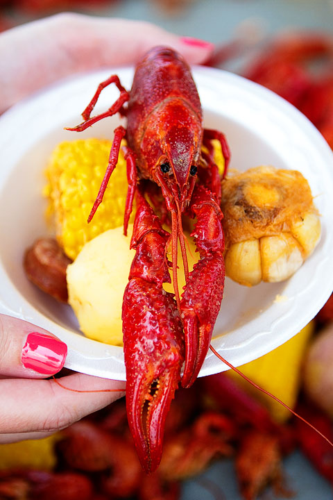 24-crab-and-crawfish-marla-meridith-296 24-crab-and-crawfish-marla-meridith-296