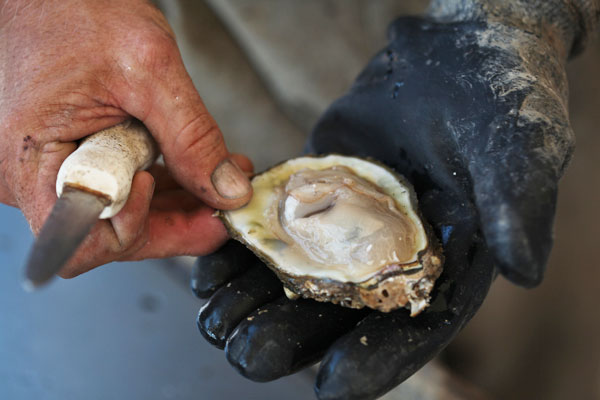 KERRY MALONEY / LOUISIANA SEAFOOD NEWS KERRY MALONEY / LOUISIANA SEAFOOD NEWS