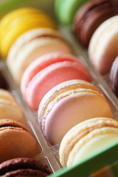 sucre sweet boutique bakery new orleans-18 sucre sweet boutique bakery new orleans-18