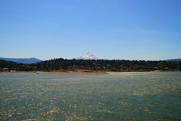 Day Trip to Trout Lake Farm Day Trip to Trout Lake Farm