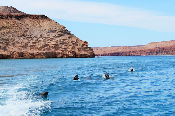 Isla Espiritu Santo Isla Espiritu Santo