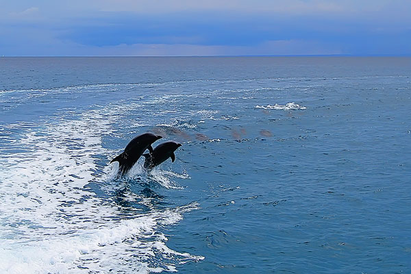 Isla Espiritu Santo Isla Espiritu Santo