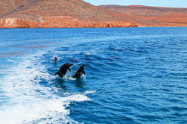Isla Espiritu Santo Isla Espiritu Santo