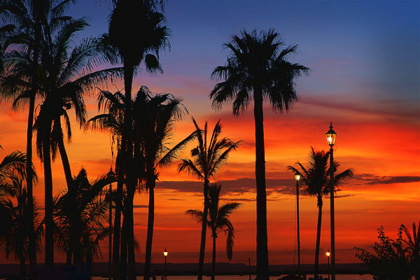 Sunset on the Malecón | La Paz, Mexico Sunset on the Malecón | La Paz, Mexico
