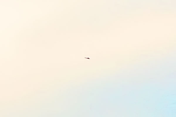 helicopter