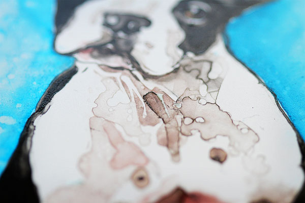 Watercolor Pet Portraits by Rachael Rossman Watercolor Pet Portraits by Rachael Rossman