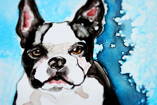 Watercolor Pet Portraits by Rachael Rossman Watercolor Pet Portraits by Rachael Rossman