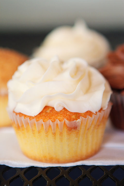 The Cupcake Collection | Nashville, TN The Cupcake Collection | Nashville, TN