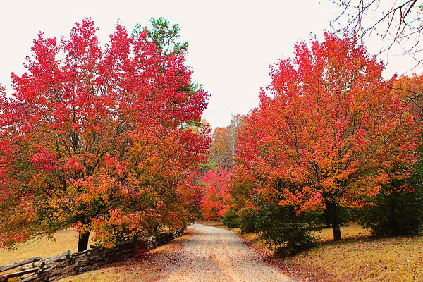 Blue Ridge, Georgia Fall Weekend Getaway. Hiking, Cabins & Waterfalls. Blue Ridge, Georgia Fall Weekend Getaway. Hiking, Cabins & Waterfalls.