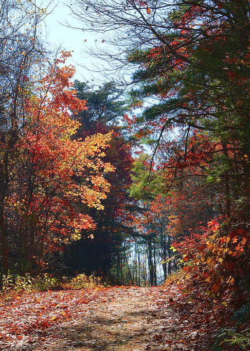 Blue Ridge, Georgia Fall Weekend Getaway. Hiking, Cabins & Waterfalls. Blue Ridge, Georgia Fall Weekend Getaway. Hiking, Cabins & Waterfalls.