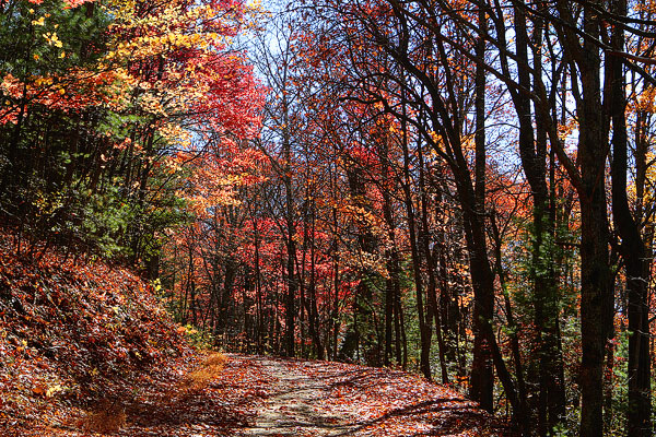Blue Ridge, Georgia Fall Weekend Getaway. Hiking, Cabins & Waterfalls. Blue Ridge, Georgia Fall Weekend Getaway. Hiking, Cabins & Waterfalls.